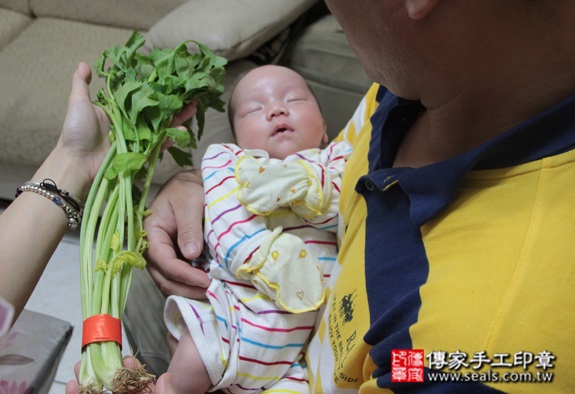 王寶寶(台北萬華區到府嬰兒寶寶滿月剃頭理髮、免費到府嬰兒剃胎毛儀式吉祥話)。到府剃頭剃胎毛主持、專業拍照、DVD光碟、證書。★購買「臍帶章、肚臍章、胎毛筆刷印章」贈送：剃頭、收涎、抓周，三選一。2015.10.01 照片8